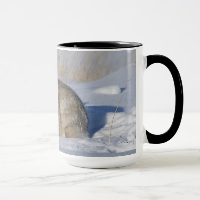 Mug Lapin Cottontail R5 dans la neige (Droite)