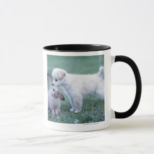 Mug Lapin de chiot et d'oreille de Lop sur la pelouse