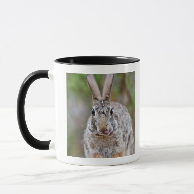 Mug Lapin de lapin du Texas (Gauche)