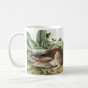 Mug Lapin lièvre à queue noire (Lepus negricaudatus)