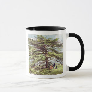 Mug L'arbre de cèdre du Liban dans l'arborétum, Kew