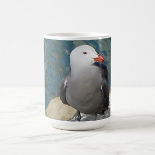 Mug Larry Day de la Mouette Ken Gage Photographie d'oi