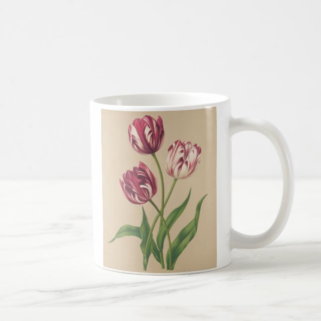 Mug L'art botanique des Tulipes (Droite)