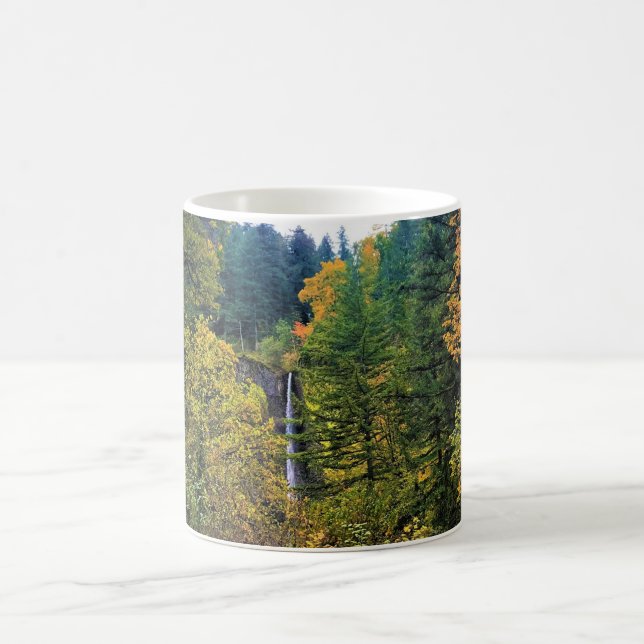 Mug Latourell Falls, gorge de Columbia, Oregon (Centre)