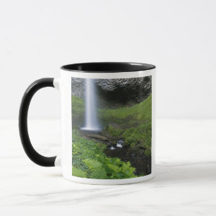 Mug Latourell Falls, Gorge du Columbia, Oregon,