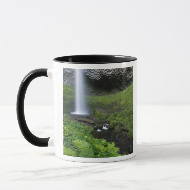 Mug Latourell Falls, Gorge du Columbia, Oregon, (Gauche)