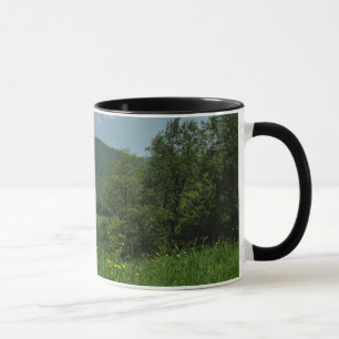 Mug Laurel Highlands Pennsylvania Summer Photography