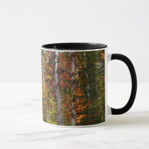 Mug L'automne dans la forêt Photographie d'automne col