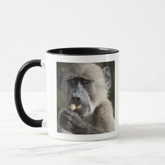 Mug Le babouin de Chacma juvénile (ursinus de Papio) (Gauche)