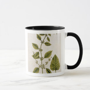 Mug Le baume, plaquent 27 "d'un de fines herbes