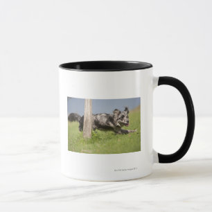 Mug Le berger pyrénéen va autour du poteau