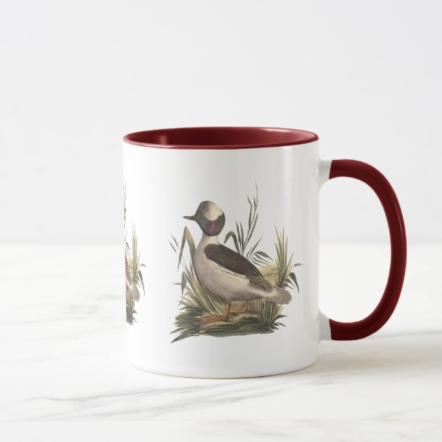 Mug Le canard à tête de buffle (Fuligula albédo) (Droite)
