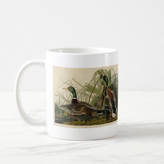 Mug Le canard colvert des oiseaux d'Amérique d'Audubon (Gauche)