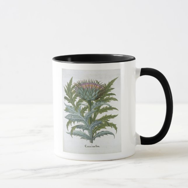 Mug Le cardon, du "Hortus Eystettensis" par Bas (Droite)