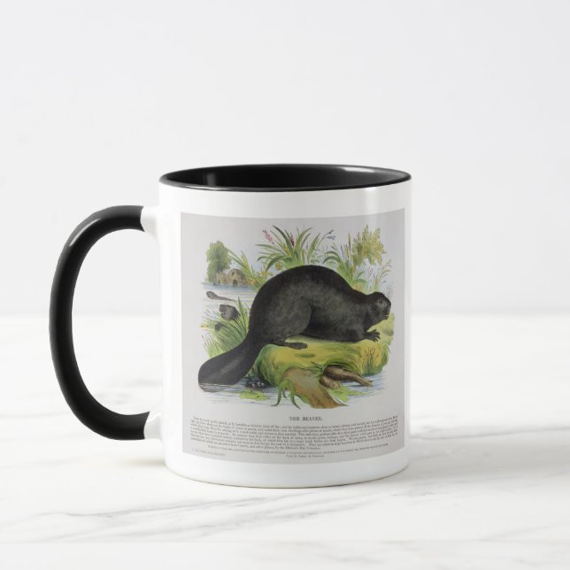 Mug Le castor, pub éducatif d'illustration. par le S (Gauche)