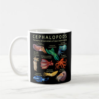 Mug Le Céphalopode, Le Calmar Et Le Nautil