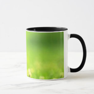 Mug le chaton de vol