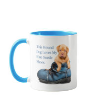 Le chien de chasse aime les chaussures bleues de