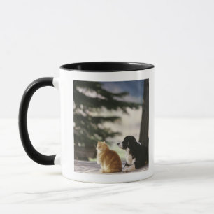 Mug Le Colorado occidental, Etats-Unis