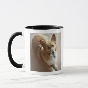 Mug Le corgi de Pembroke de Gallois poursuit le