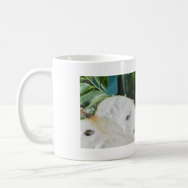 Mug Le corossol  (Gauche)