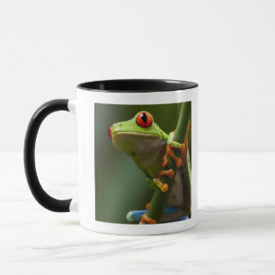 Mug Le Costa Rica, Monteverde, grenouille d'arbre aux