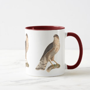Mug Le faucon de couleur ardoise (Astur fuscus)
