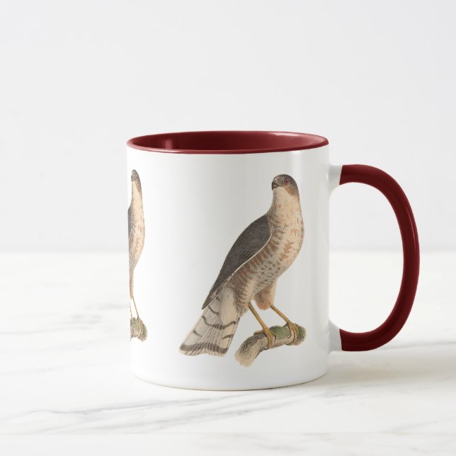 Mug Le faucon de couleur ardoise (Astur fuscus) (Droite)