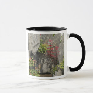 Mug Le jardin de la famille Bao, Huangshan, Chine.