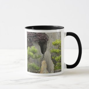 Mug Le jardin de la famille Bao, Huangshan, Chine. 2