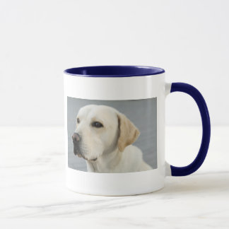 Mug Le Labrador d'or