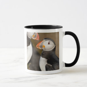 Mug Le Macareux Atlantique