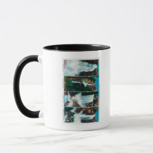 Mug Le Nevada, Yosemite, vernaux, et automnes