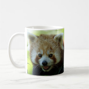 Mug Le panda rouge est éveillé !