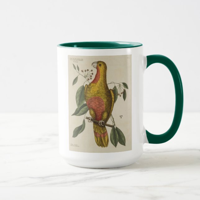 Mug "Le perroquet du paradis " (Droite)