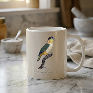 Mug Le Perroquet Maipouri / Perroquet à tête noire