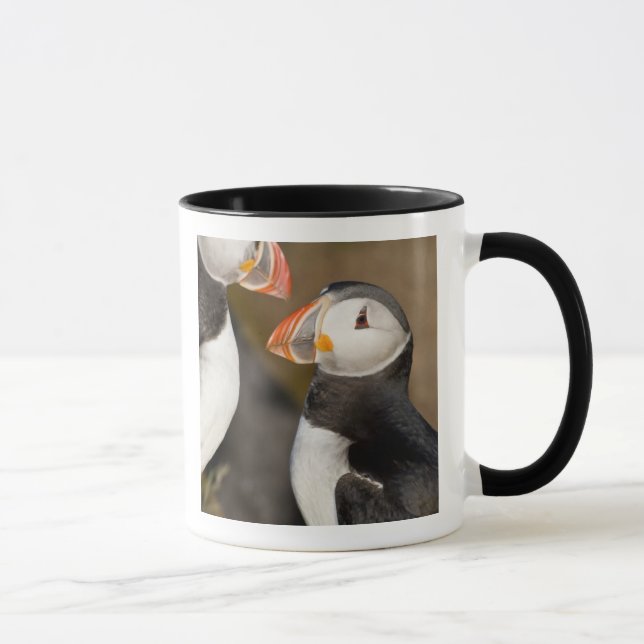 Mug Le Puffin Atlantique (Droite)