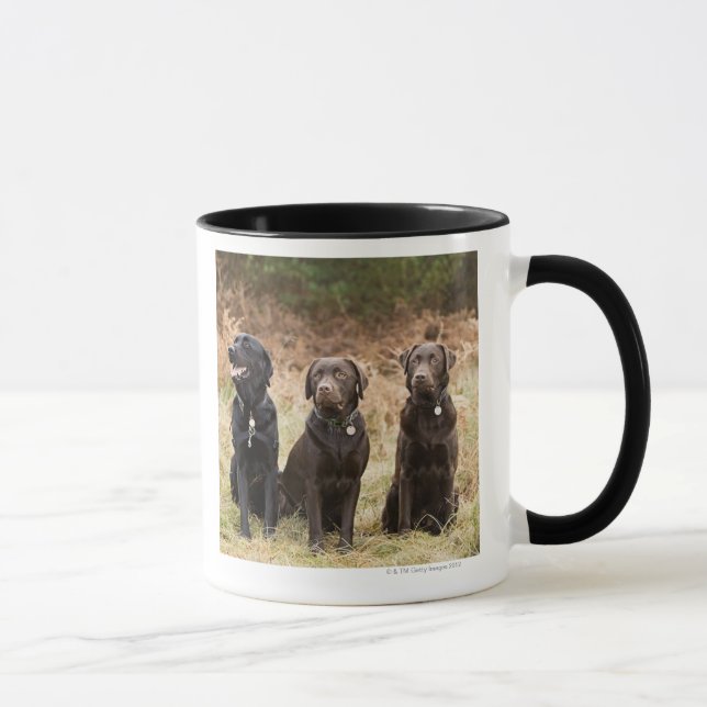 Mug Le R-U, Angleterre, Suffolk, forêt de Thetford, (Droite)