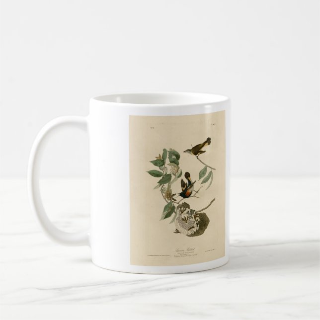 Mug Le Redstart américain des oiseaux d'Amérique d'Aud (Gauche)