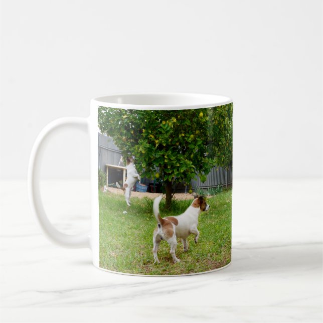 Mug Le Renard Terrier Qui S'Échappe Dans Un Arbre, (Gauche)