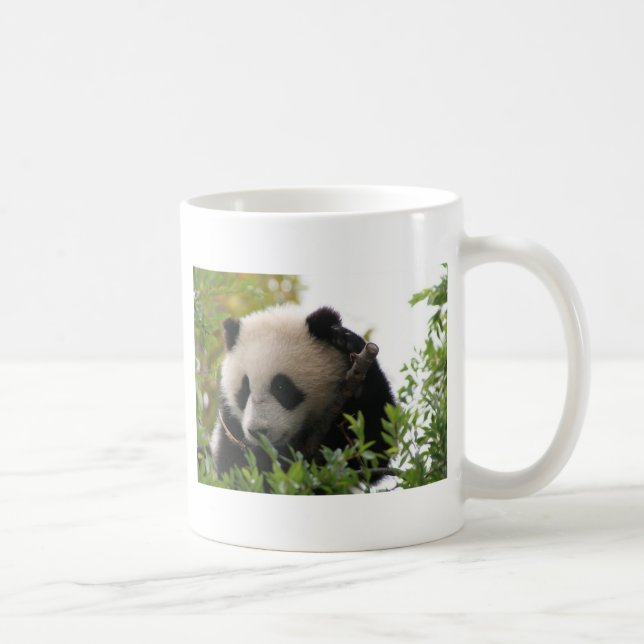Mug Le Su Lin, petit animal d'ours panda géant au zoo (Droite)