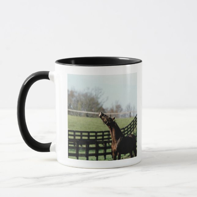 Mug Le Vermont, Etats-Unis 2 (Gauche)
