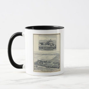 Mug Le vignoble de Hedge Row, Fresno