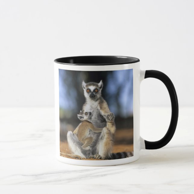 Mug Lémur catta, (Lemur catta), Mère et (Droite)