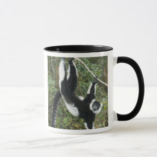 Mug Lémur varié noir et blanc, (Varecia