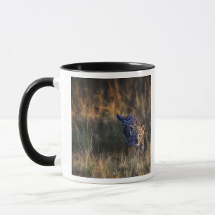 Mug Leopard Cub Panthera Pardus