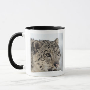 Mug Léopard de neige (uncia d'Uncia) 2