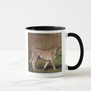 Mug Léopard en plaine