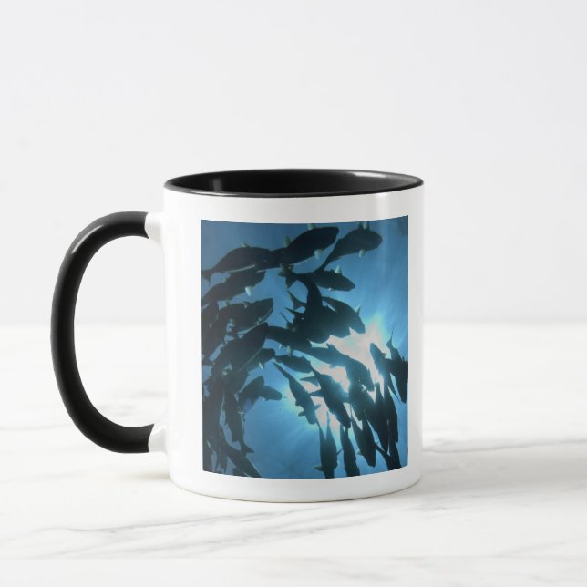 Mug L'Equateur, archipel de Galapagos, île de loup, (Gauche)