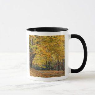 Mug L'érable d'automne surplombant la voie de campagn